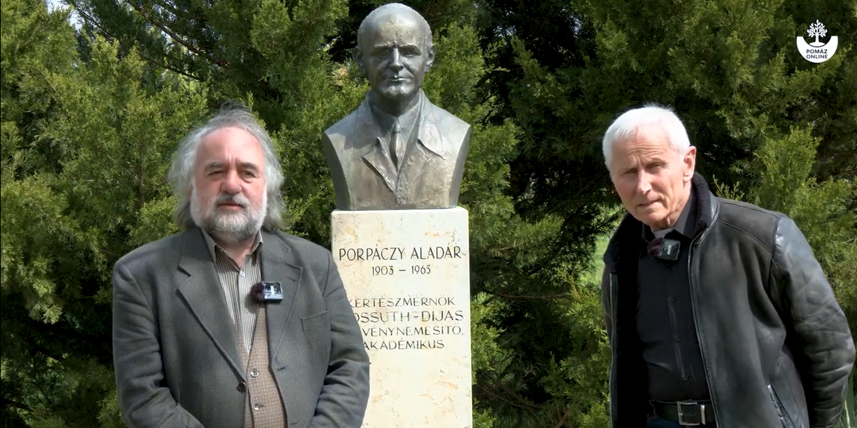 Pomázi kertbarátok története - Beszélgetés Vicsotka Mihállyal