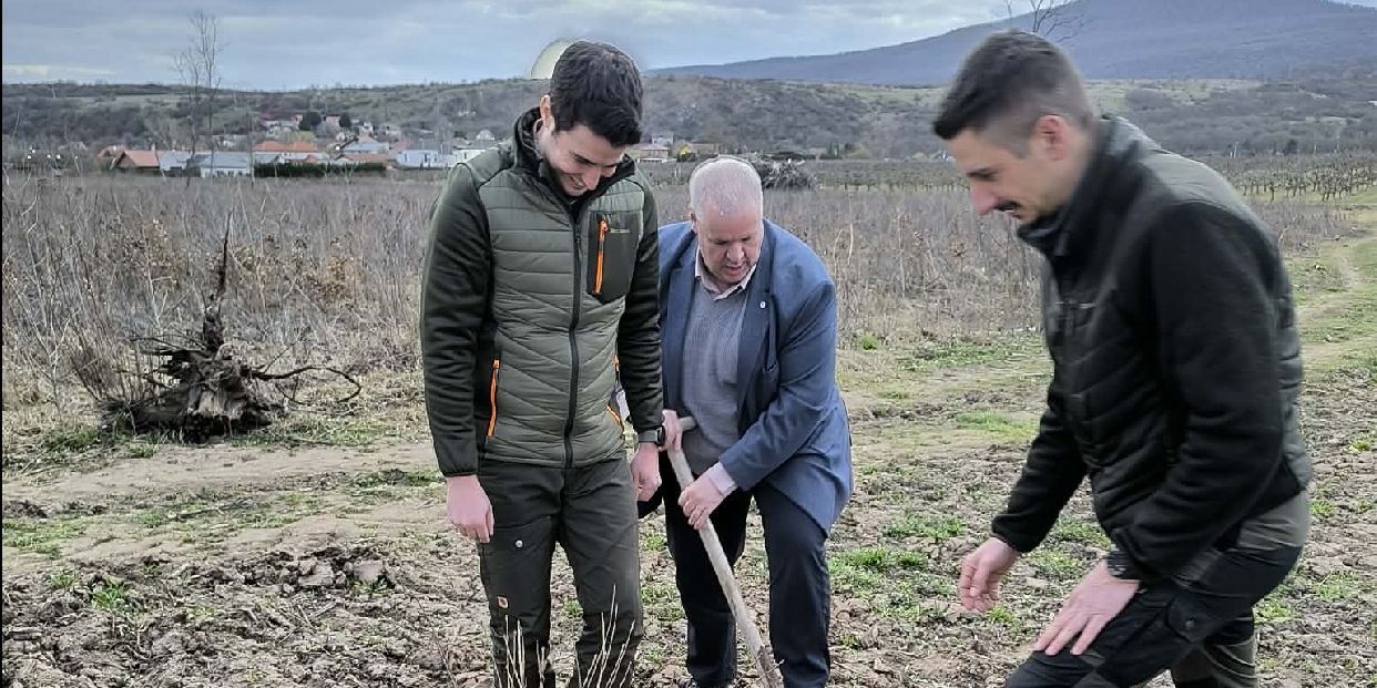 Lezárult a Pomázi Parkerdő Program második üteme