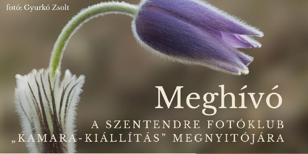Szentendre fotóklub „Kamara-kiállítás” megnyitója